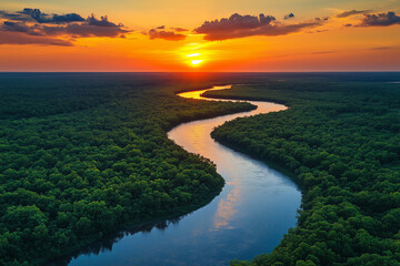 Fototapeta premium Aerial view of a river winding through a dense forest