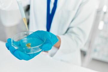 Dropper, hands or scientist with petri dish for samples particles, clinical trial or chemical...