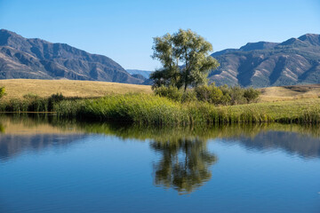 Obraz premium A small lake in the mountains is completely calm, the mirror of the water reflects the surrounding summer landscape.