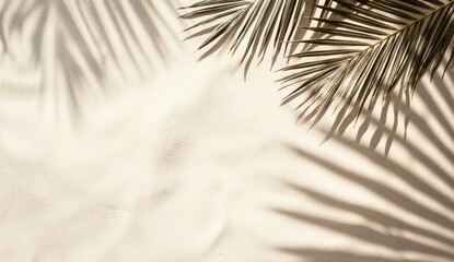 Obraz premium Palm leaves casting shadows on white sandy beach background