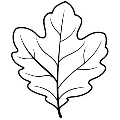 natural oak leaf outline coloring book page line art drawing