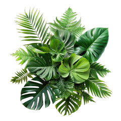 A vibrant arrangement of various green tropical leaves.