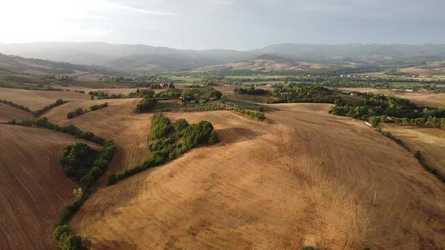 Drone shot dolly movement over Tuscan field during sunset. Flying over all the dry meadows separated by cipres trees showing all interesting hills in Tuscany.