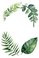 A vibrant arrangement of green leaves, showcasing their natural beauty and intricate details for an elegant decorative touch.