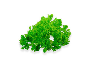 leaves parsley vegetable isolated on white background