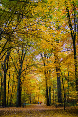 park in Hannover in fall