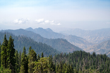 View of the peaks of the Sierra Nevada mountain range, California, USA.  The distand peaks are hazy in the bright sunlight, and pine tree cover the foreground