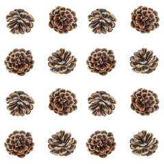 Pine cones watercolor seamless pattern. Hand painted plant design element set isolated on white. High quality illustration perfect for cards, banners, posters, textile, Christmas and New Year decor