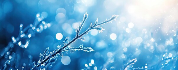 Fototapeta premium A close-up of a frosted branch glimmering in blue light, surrounded by sparkling bokeh, capturing the essence of winter beauty.