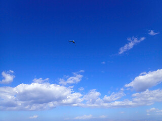 Beautiful sea and seagulls in Greece