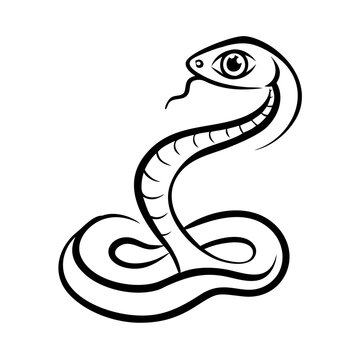recommend clip art: Snake illustration, looking fierce, coiling on a white background, copy space
                    