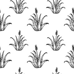 Hand drawn seamless pattern with medicinal plant Aloe Vera. Vector repeating background of stem with flower and leaves of succulent aloe for design, card, print, paper. Medicine, food, cosmetic 