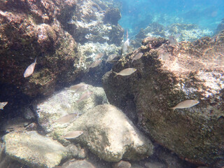 Greece Agistri Island under water