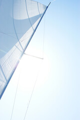 sail from a sailboat on a lake against the sky