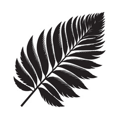 Obraz premium tropical leaf. silhouette vector design