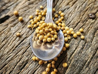 Asian herb coriander seed dry