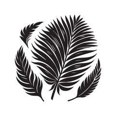 Obraz premium tropical leaf. silhouette vector design