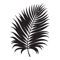 Obraz premium tropical leaf. silhouette vector design