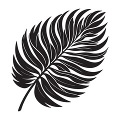 Obraz premium tropical leaf. silhouette vector design