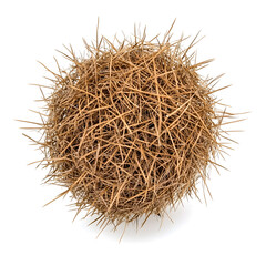 Fototapeta premium Round Dry Tumbleweed Ball isolated on white
