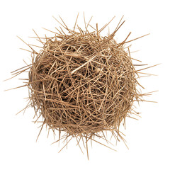 Fototapeta premium Round Dry Tumbleweed Ball isolated on white