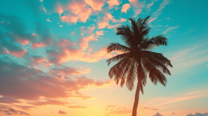 Obraz premium Silhouette of Palm Tree Against a Vibrant Sunset Sky