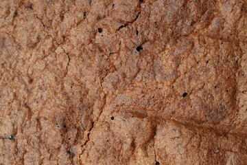Tasty chocolate sponge cake as background, closeup