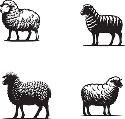  silhouette of clean vector sheep  isolated on white background