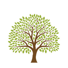 Naklejka premium Tree silhouette vector illustration Isolated on White background. Deciduous, Oak, Pine trees for Garden and Park Design