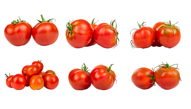 tomato tomatos, many angles and group pile heap isolated on transparent background cutout