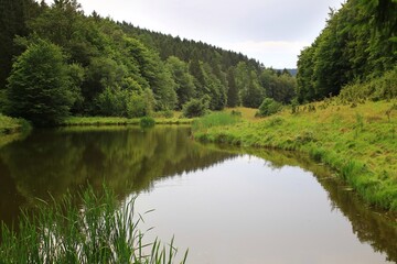 Obraz premium Forest river in Thuringia with lush greenery, reflecting water, and a tranquil, untouched natural setting