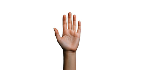 Obraz premium Vivid hand gesture representing guidance for healthcare, visual hand gesture, non-verbal instruction, transparent background