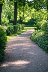 Obraz premium Green park pathway