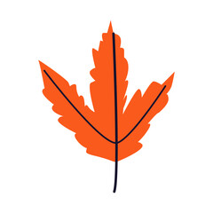 Obraz premium Icon with leaf , autumn natural leaf botanical vector illustration. Autumn hand drawn cute and cozy design element. Fall, Thanksgiving Day, Autumn season.