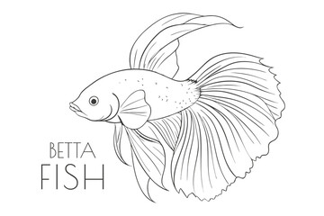 Illustration of a Animal - Betta Fish, Actinopterygii