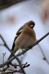 best picture from istanbul turkey