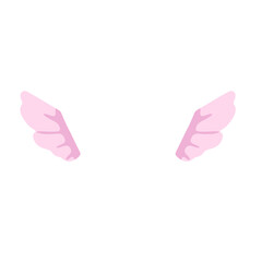 A pair of pink fairy wings against a white background