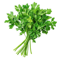 Obraz premium Fresh parsley isolated on a white background. PNG