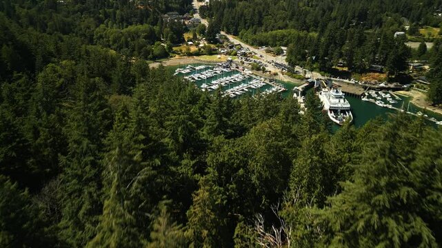 Drone flying low over hilltop forest to reveal a small tropical local boat port with lots of boats and yachts anchored in the tropical blue clear water