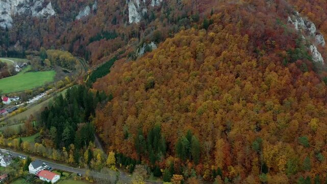 Aerial view of autumn trees on a sunny day in the Black Forest, Baar, Heuberg, Baden-W&uuml;rttemberg, Germany