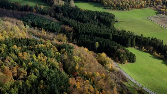 Aerial view of autumn trees on a sunny day in the Black Forest, Baar, Heuberg, Baden-W&uuml;rttemberg, Germany