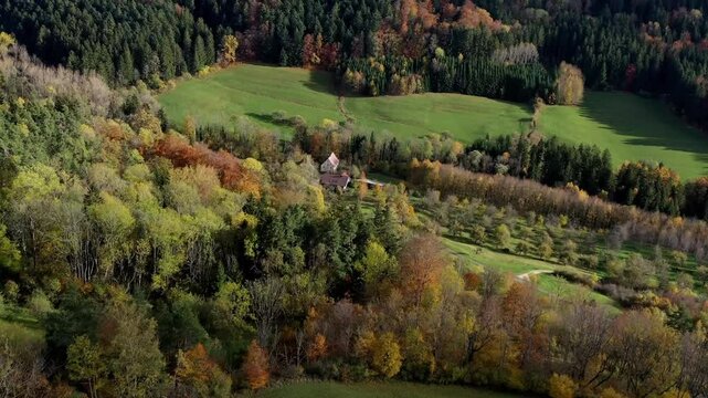 Aerial view of autumn trees on a sunny day in the Black Forest, Baar, Heuberg, Baden-W&uuml;rttemberg, Germany