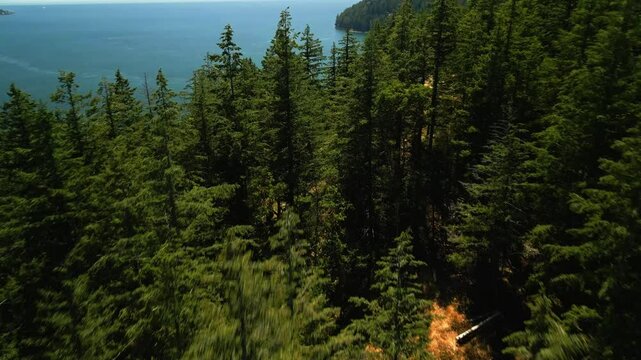 Low flying drone revealing tropical blue ocean behind a forest of conifer green trees sat on an island hilltop