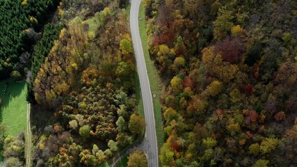 Aerial view of autumn trees on a sunny day in the Black Forest, Baar, Heuberg, Baden-Württemberg, Germany