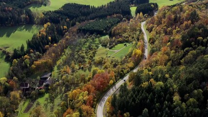 Aerial view of autumn trees on a sunny day in the Black Forest, Baar, Heuberg, Baden-Württemberg, Germany