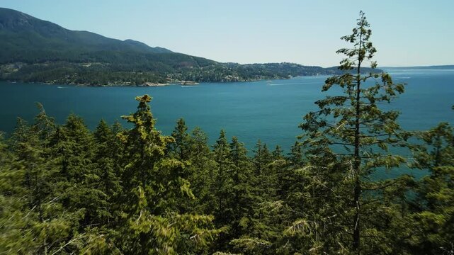 Drone flying close and low through conifer green christmas trees to reveal the edge of a small island looking out to the clear blue ocean water on a sunny day at Bowen Island near Vancouver Canada