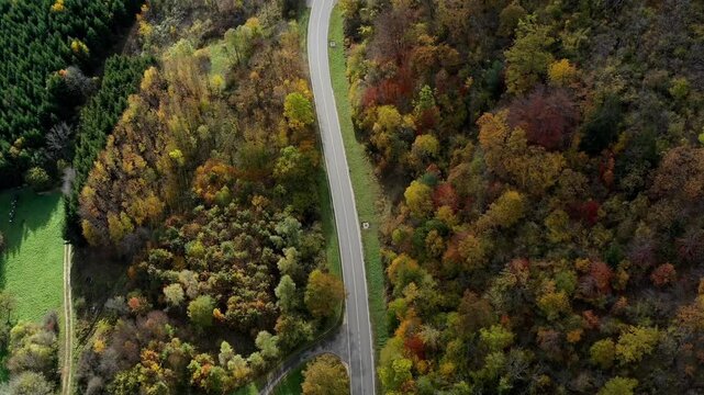 Aerial view of autumn trees on a sunny day in the Black Forest, Baar, Heuberg, Baden-Württemberg, Germany