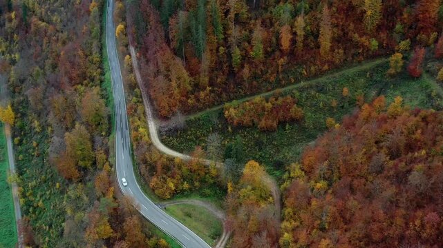 Aerial view of autumn trees on a sunny day in the Black Forest, Baar, Heuberg, Baden-W&uuml;rttemberg, Germany