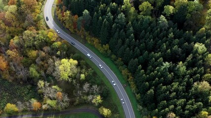 Aerial view of autumn trees on a sunny day in the Black Forest, Baar, Heuberg, Baden-Württemberg, Germany - Powered by Adobe