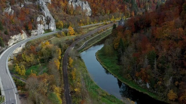 Aerial view of autumn trees on a sunny day in the Black Forest, Baar, Heuberg, Baden-Württemberg, Germany